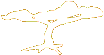 NAAF logo (541 bytes)