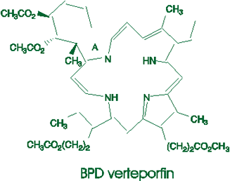BPD verteporfin